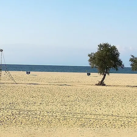 Appartamento Terrassa De Mar *