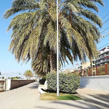 Appartamento Terrassa De Mar